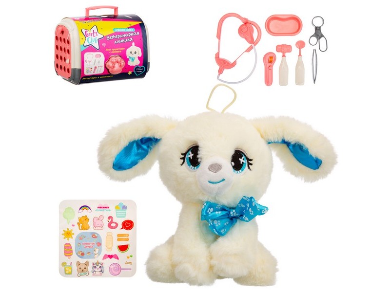 Набор "Ветеринарная клиника" 23*15*17 см в переноске IT110987