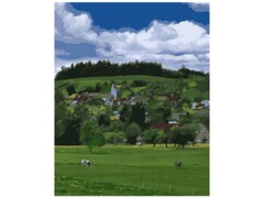 81445&nbsp;[Кпн-224]Картина на картоне с красками 40х50 см по номерам. Летнее настроение