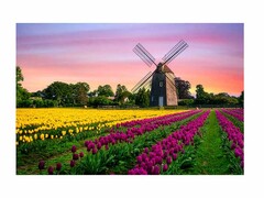 82031 [ХК-6300] Холст с красками 30х40 см по номерам.  Поле тюльпанов на закате