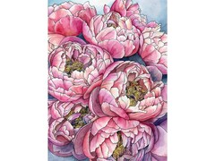 82058 [Х-4094] Холст с красками 22х30 см по номерам. Букет пионов