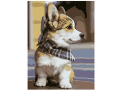 Картина на картоне с красками 40х50 см по номерам. Щенок корги