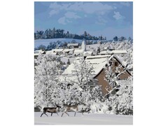 Картина на картоне с красками 40х50 см по номерам. Деревня зимой