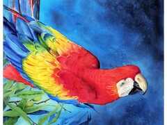 82209 [Х-3904] Холст с красками 17х22 см по номерам. Сине-желтый ара