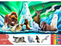 Сортер деревянный «Север» 15 деталей