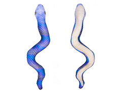 83249 [МТ11061] Мягкая игрушка-антистресс "Змея" синяя 32 см