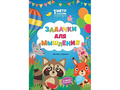 84489 [] Книжка Задачки для мышления. В парке аттракционов. 1 Метр заданий