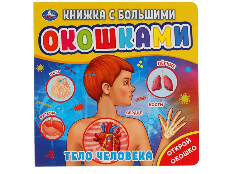 Купить оптом Книжка с большими окошками. Тело человека в Луганске