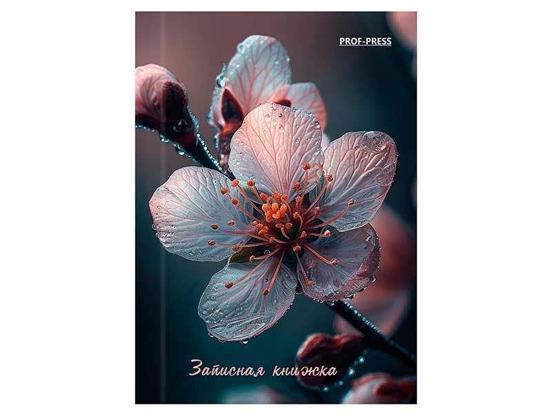 Купить оптом Записная книжка А7 64 л клетка «Красивый цветок» (7БЦ, глян. лам.) в Луганске