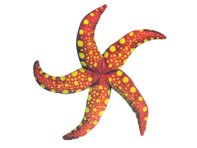 Морская звезда 40 см PT043