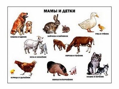 ПЛАКАТ. МАМЫ И ДЕТКИ