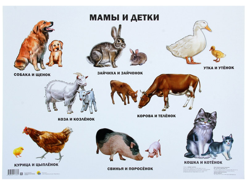 Купить оптом ПЛАКАТ. МАМЫ И ДЕТКИ в Луганске